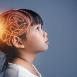 Neuroeducació aplicada a l'educació.